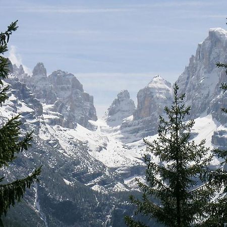 Campiglio Tre Sassi Daire Madonna Oda fotoğraf